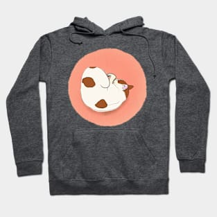 Soya the cat - sleeping Hoodie